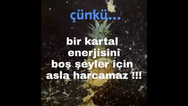 'Video thumbnail for Kartallar Neden Yüksek Uçar?'