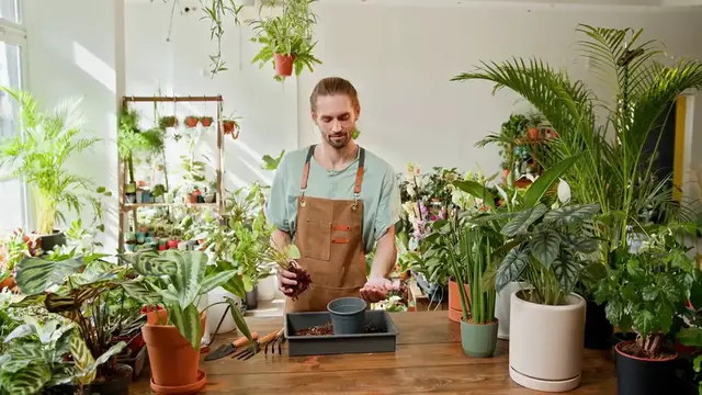 Video thumbnail for Pothos Plant Root Rot Solutions