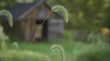 'Video thumbnail for Sayler Park: Cincinnati's Timeless Riverside Retreat'