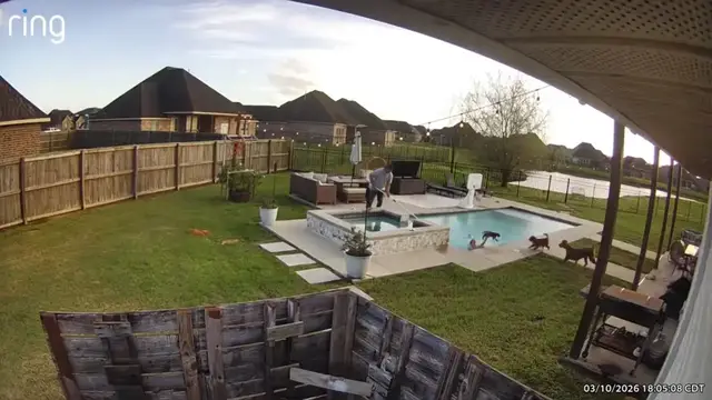 Video thumbnail for Heroic Puppy Pool Rescue in Louisiana