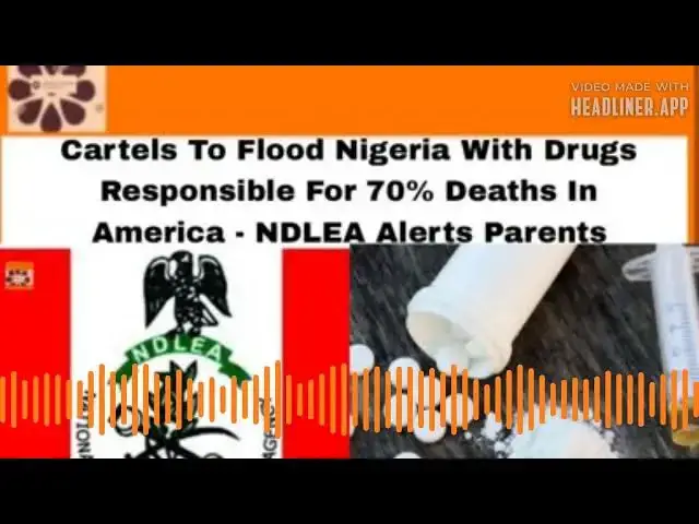 Video thumbnail for Cartels To Flood Nigeria With Drugs Responsible For 70% Deaths In America - NDLEA Alerts Parents