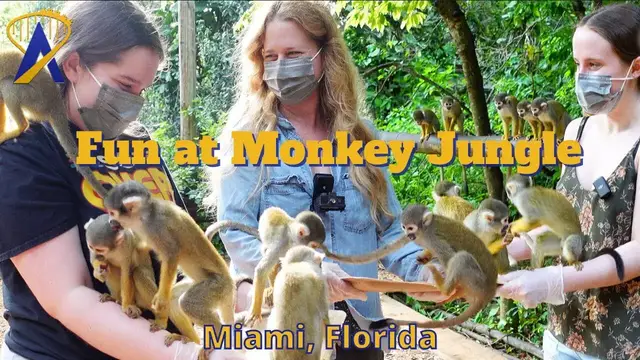 Video thumbnail for Fun from Monkey Jungle in Miami