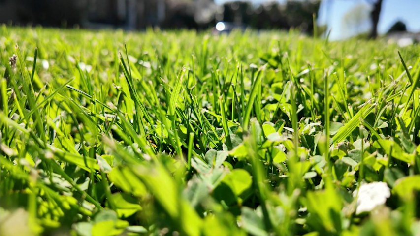 Video thumbnail for The Cost Of: Lawn Care