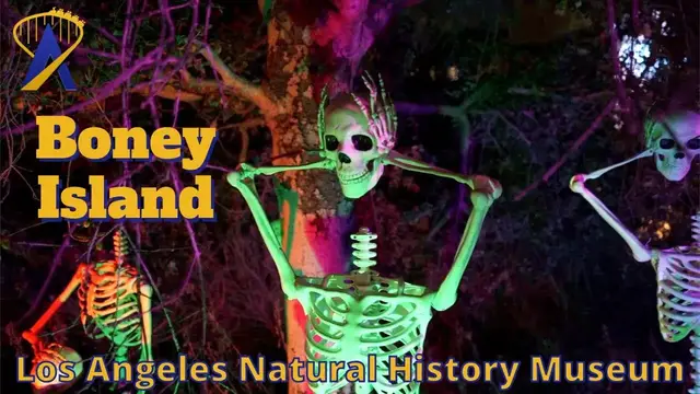 Video thumbnail for Boney Island Halloween Event at Natural History Museum 2023