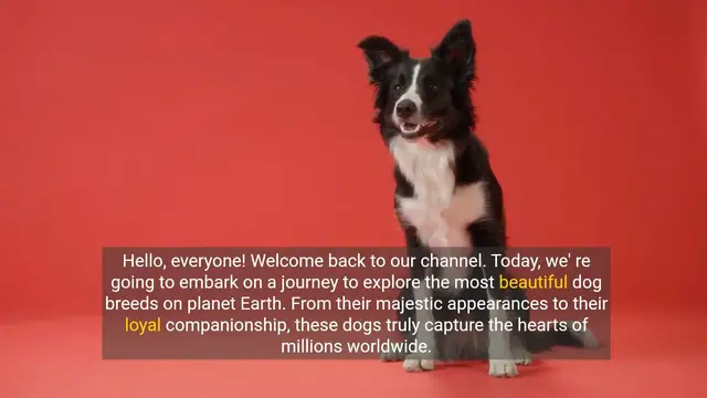 Video thumbnail for The Most Beautiful Dog Breeds on Earth
