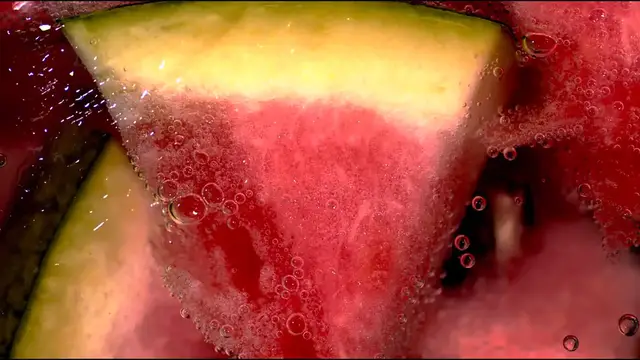 Video thumbnail for Lizards Reptile