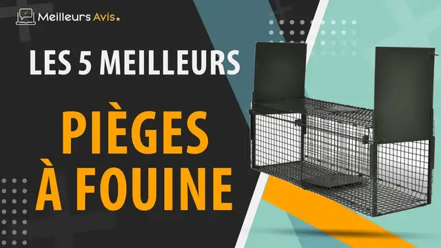 Video thumbnail for ⭐️ MEILLEUR PIÈGE À FOUINE - Avis & Guide d'achat (Comparatif 2023)