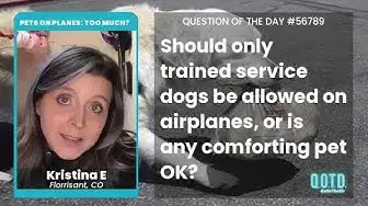 Video thumbnail for Kristina E believes airlines need to limit service animals on planes, out of travel necessity.