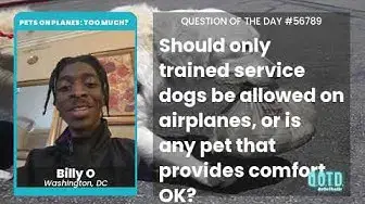 Video thumbnail for Billy O wants all the animals on airplanes. Go off!