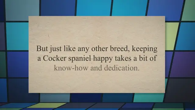 Video thumbnail for The Ultimate Guide: How to Keep a Cocker Spaniel Happy and Thriving