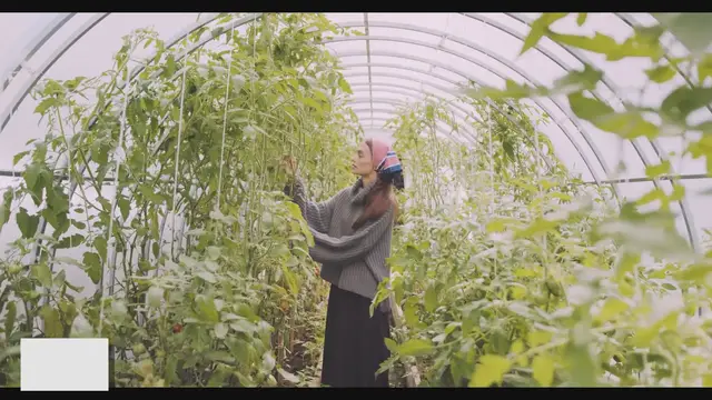 Video thumbnail for Companion Planting: Boost Your Garden's Productivity