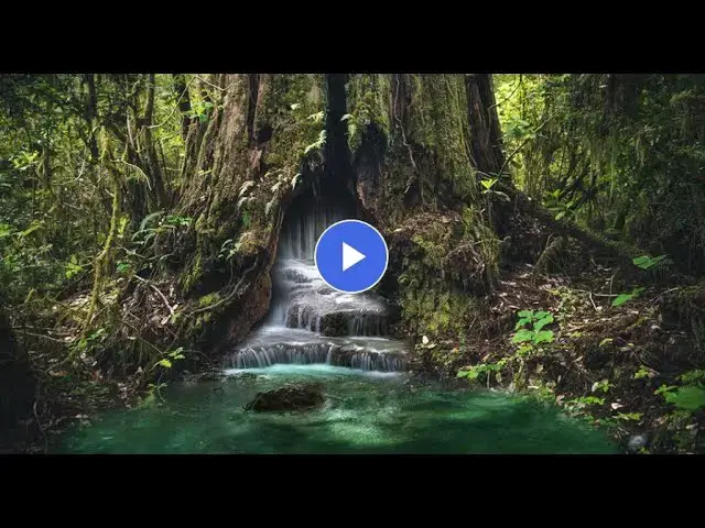 Video thumbnail for How to use layer masks to make composites of multiple images in photoshop 2022