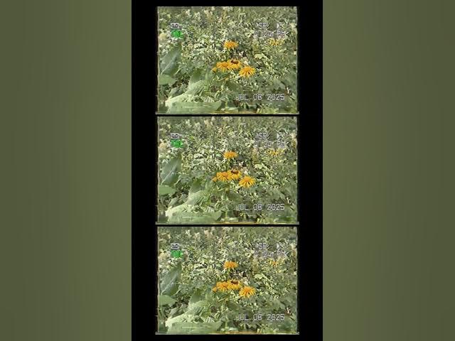 Video thumbnail for Outdoor Music - The Practice - Joshoowar - Lofi Wurld Music