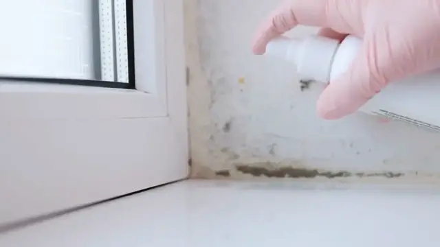 Video thumbnail for Solutions for Damp Walls: Prevent and Fix Moisture Issues