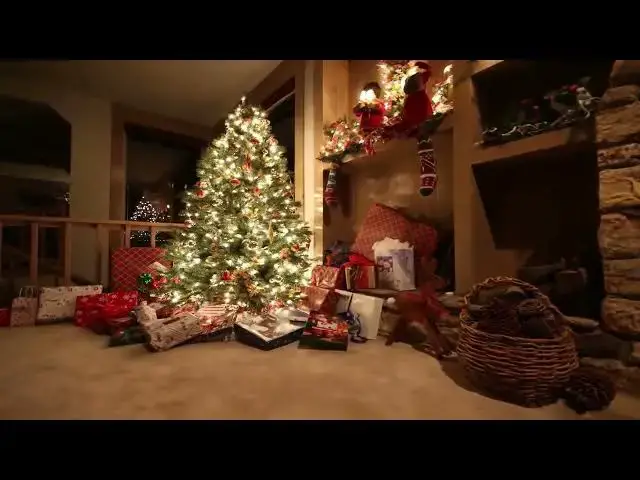 Video thumbnail for Lighted Christmas Tree