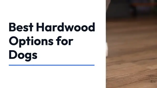 Video thumbnail for Best Hardwood Flooring for Dogs – Durable and Stylish Choices for Pet Owners