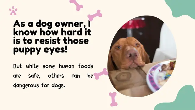 Video thumbnail for What food is bad for a dog