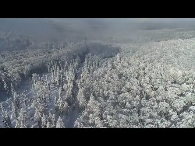 Video thumbnail for Mountains Trees