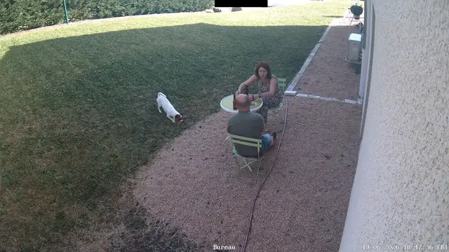 Video thumbnail for Dog’s Fetch Game Takes a Surprising Turn in French Garden