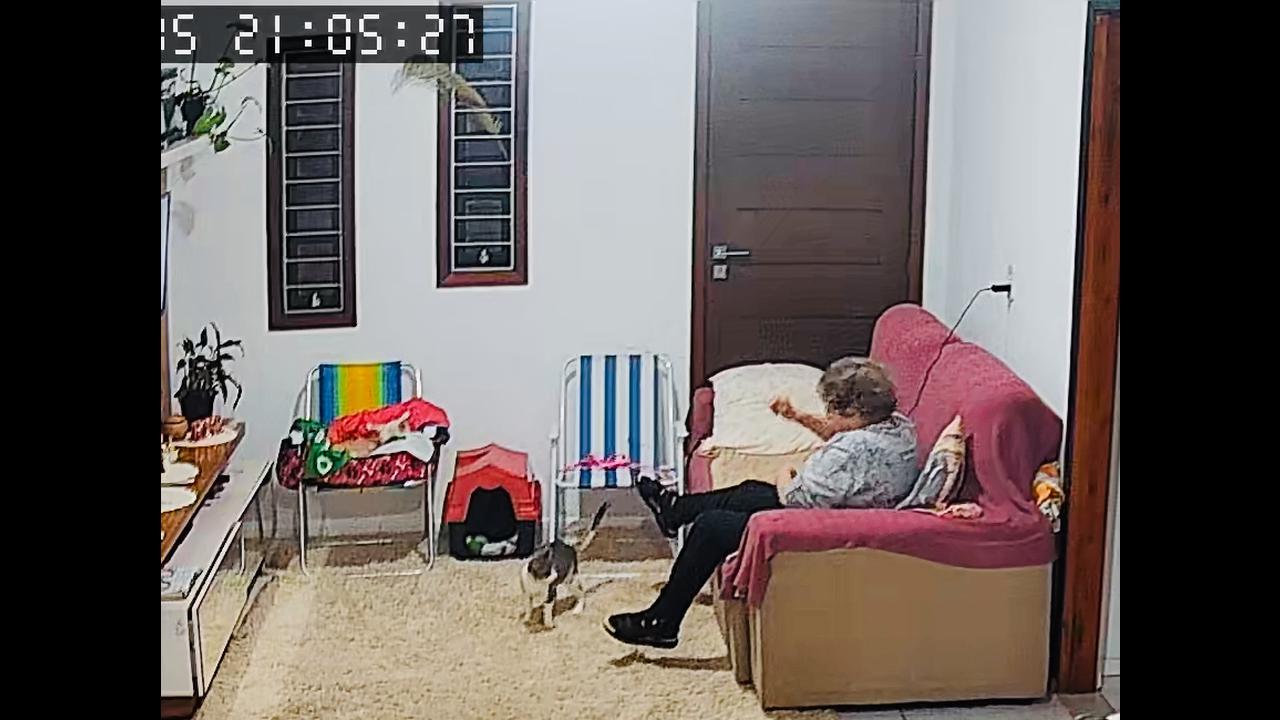 Video thumbnail for Cat Startles Grandma Who Startles Cat