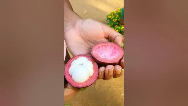 Video thumbnail for How to open and eat mangosteen #shorts