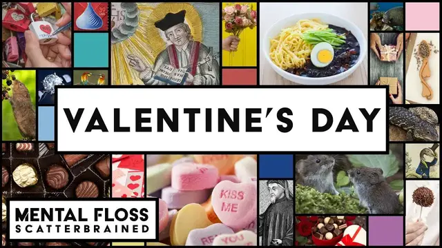 Video thumbnail for Valentine's Day - Mental Floss Scatterbrained | Mental Floss