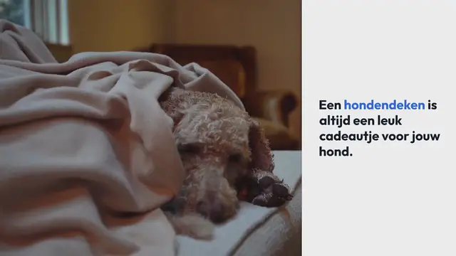 Video thumbnail for Hondendeken: 20x de beste van 2024 [Goedgekeurd]