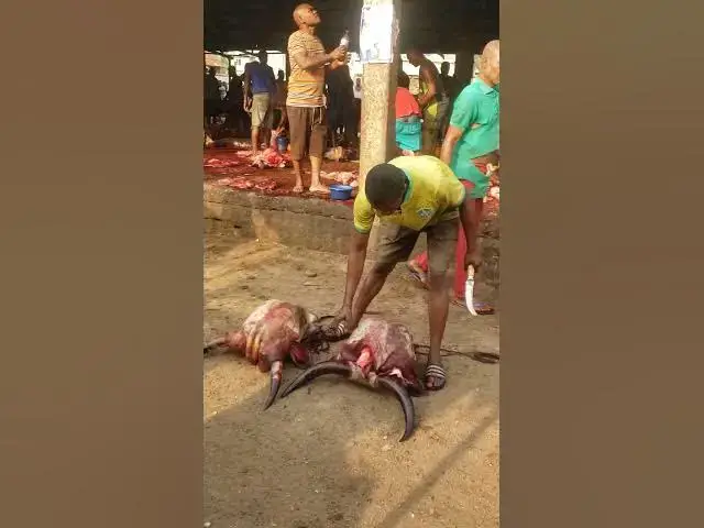 Video thumbnail for We are active in anambra state meat center