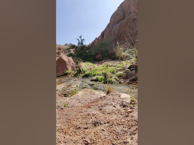 Video thumbnail for 29 ديسمبر 2022