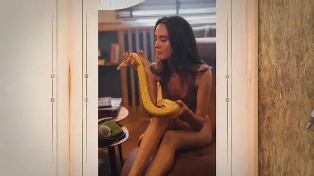 Video thumbnail for Burmese Python Pet Care: A Comprehensive Guide