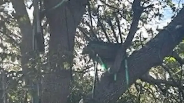 'Video thumbnail for Secret Service discovers 'suspicious stand' with line of sight to Air Force One'