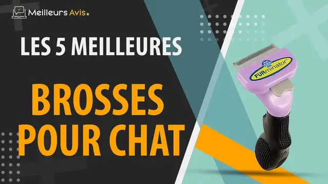 Video thumbnail for ⭐️ MEILLEURE BROSSE POUR CHAT - Avis & Guide d'achat (Comparatif 2022)