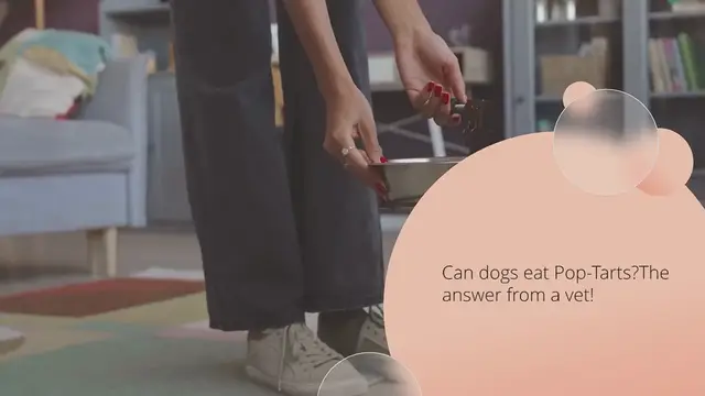 Video thumbnail for Can dogs eat Pop-Tarts? The answer from a vet!