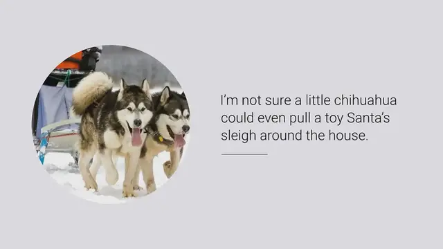 Video thumbnail for The 10 best sled dog breeds