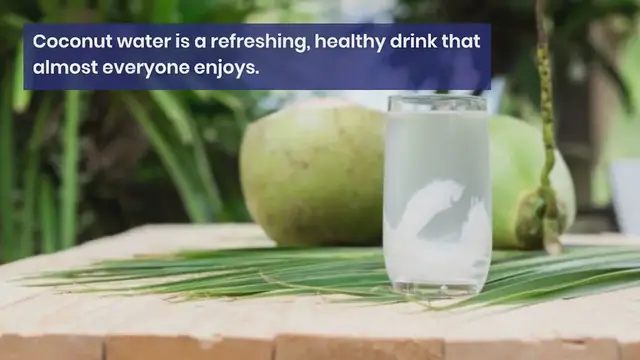 Video thumbnail for Can dogs drink coconut water?