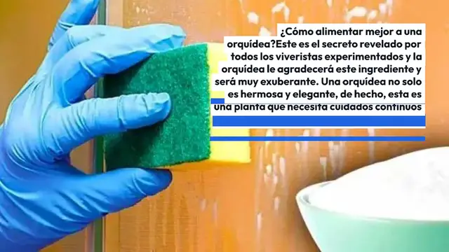 'Video thumbnail for Con este ingrediente nutrirás a la orquídea mejor que un viverista: muy exuberante'