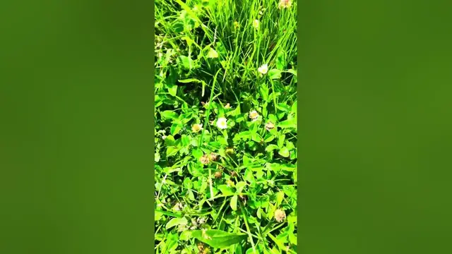 Video thumbnail for Active ce pouvoir qui est en toi pour être entouré de Miracles