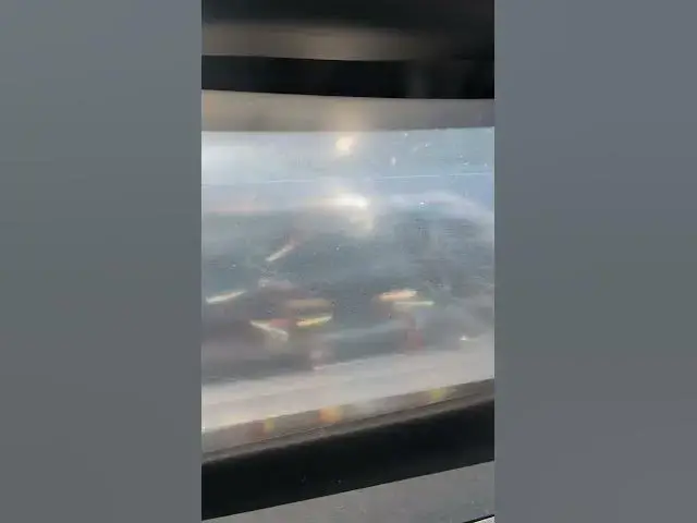 Video thumbnail for Got myself some Cardinal Tetras from Nolan's Aquarium #cardinaltetra #fish #aquariumfish