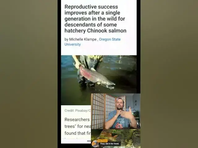 Video thumbnail for Reproductive success improves after one generation in wild #shorts #fishkeeping #news  #fishtalk