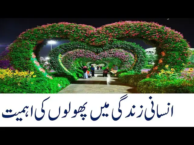 Video thumbnail for The Importance of Flowers in Human Life | #humanity #human #flowers #life #important