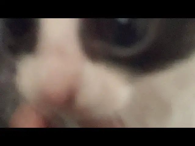 Video thumbnail for 6 de junho de 2023