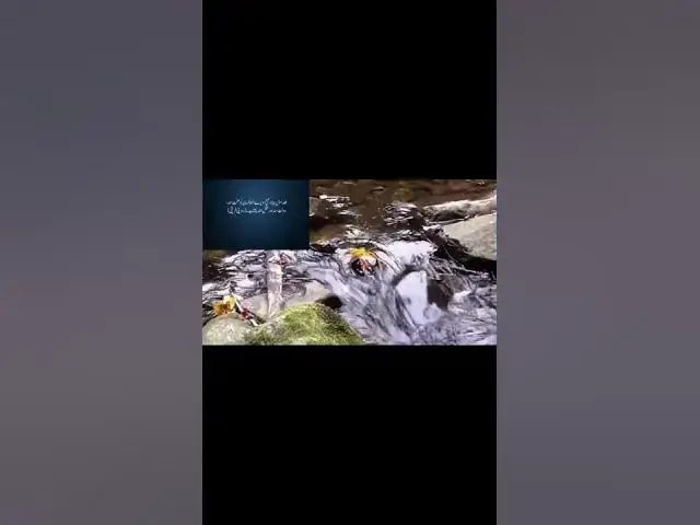 Video thumbnail for Early Rising Benefits | Early Rising Habit | Proverbs on Early Rising