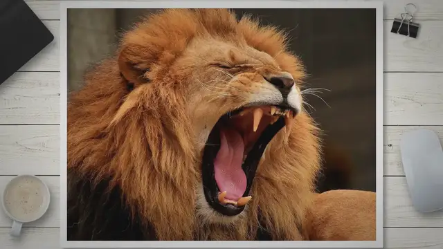 Video thumbnail for Unleashing Leadership Power: The 7 Types You Need to Know