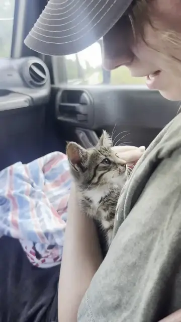 Video thumbnail for Tiny Talladega Kitten Rescued from a Tree