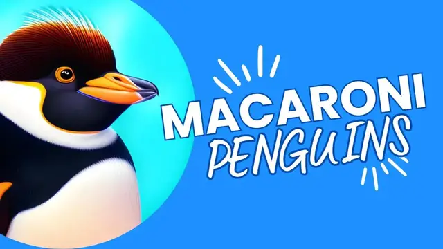 Video thumbnail for 10 Fascinating Facts About Macaroni Penguins: The Fighter Penguins of the Antarctic