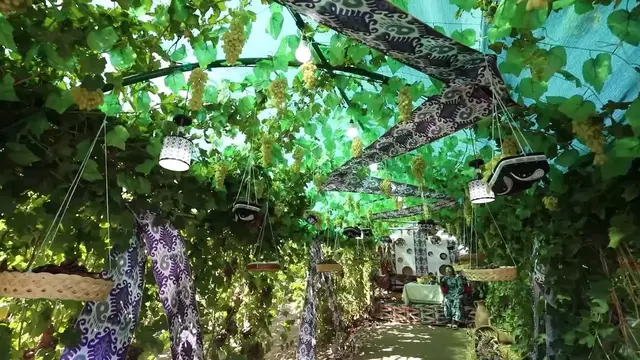 Video thumbnail for Uzbekistan: International Grape Festival opens in Uzbekistan.