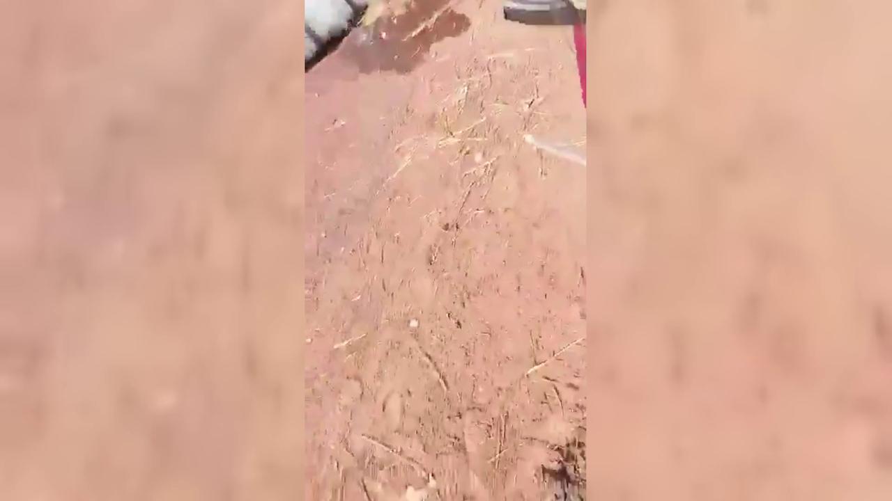 Video thumbnail for Mali: Cargo Trucks Torched On Road To Mali Capital.