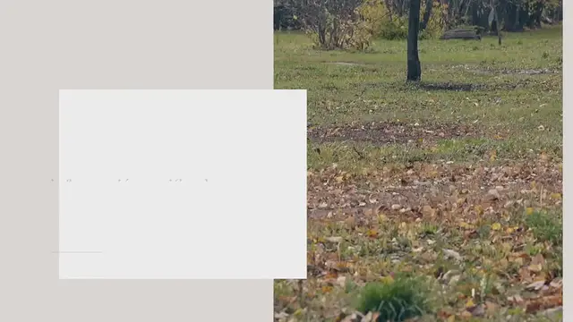 Video thumbnail for AutoZone en Tijuana