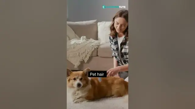 Video thumbnail for Why Do the Clothes in My Drawers Smell? | #shorts