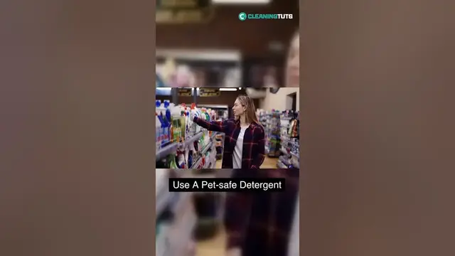 Video thumbnail for Can You Wash Your Dog Bed at Laundromat?  | #shorts